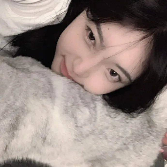 贪婪2019